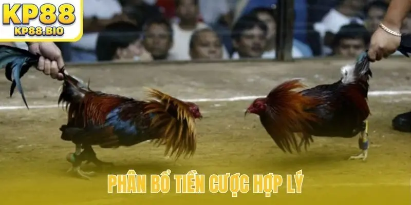 Phân bổ tiền cược hợp lý