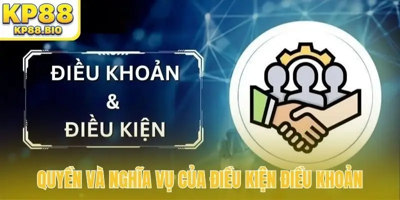 Quyền và nghĩa vụ của điều kiện điều khoản